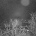 Webcam_20240104-061500