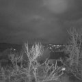 Webcam_20240104-083000