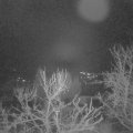 Webcam_20240105-064500