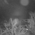 Webcam_20240106-060000