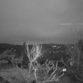 Webcam_20240106-084500