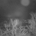 Webcam_20240107-053000