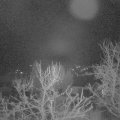 Webcam_20240107-073000