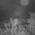 Webcam_20240107-080000