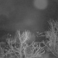 Webcam_20240107-081500