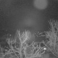 Webcam_20240109-050000