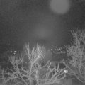 Webcam_20240109-063000