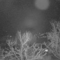 Webcam_20240110-053000