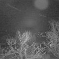 Webcam_20240111-050000