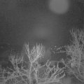 Webcam_20240111-053000