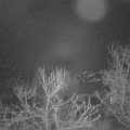 Webcam_20240111-054500