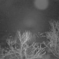 Webcam_20240111-063000