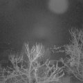 Webcam_20240111-064500