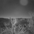 Webcam_20240111-080000