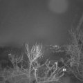 Webcam_20240112-214500