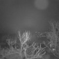 Webcam_20240113-050000
