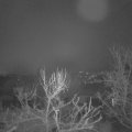 Webcam_20240113-053000