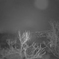 Webcam_20240113-063000