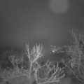 Webcam_20240113-070000