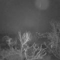 Webcam_20240113-073000
