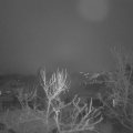 Webcam_20240113-083000