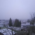 Webcam_20240113-091500