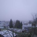 Webcam_20240113-093000