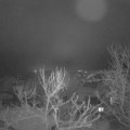 Webcam_20240114-064500