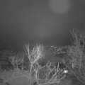 Webcam_20240114-073000