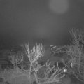 Webcam_20240114-074500
