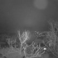 Webcam_20240114-080000