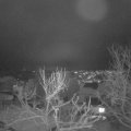 Webcam_20240115-191316