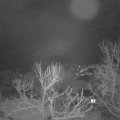 Webcam_20240116-050000
