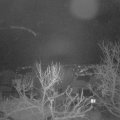 Webcam_20240116-051500