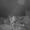 Webcam_20240116-060000
