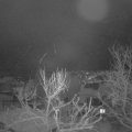 Webcam_20240116-061500