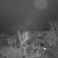 Webcam_20240116-063000