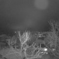 Webcam_20240116-064500