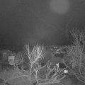 Webcam_20240116-070000