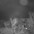 Webcam_20240116-071500
