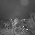 Webcam_20240116-081500
