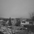 Webcam_20240116-084500