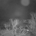 Webcam_20240117-063000
