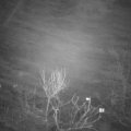 Webcam_20240117-211500