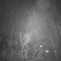Webcam_20240117-213000
