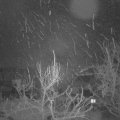 Webcam_20240118-050000