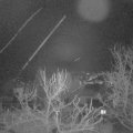 Webcam_20240118-054500
