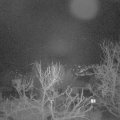 Webcam_20240118-060000