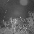 Webcam_20240118-061500