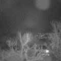 Webcam_20240118-063000